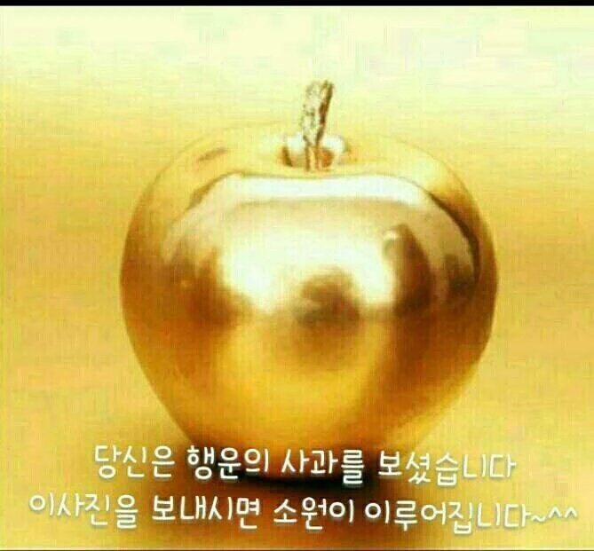 ♡시크릿 가든♡#멸북당♡착카게 살자♡ tweet media