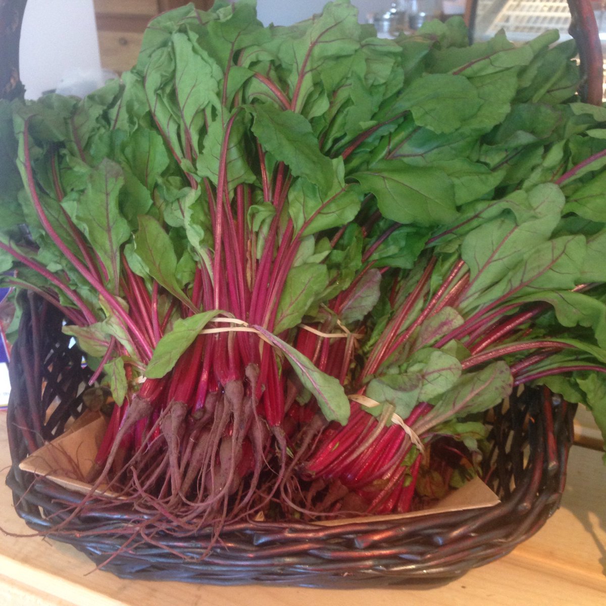 Beet greens are back! #summeriscoming #uprooted #fresh #local #seasonal #NovaScotia