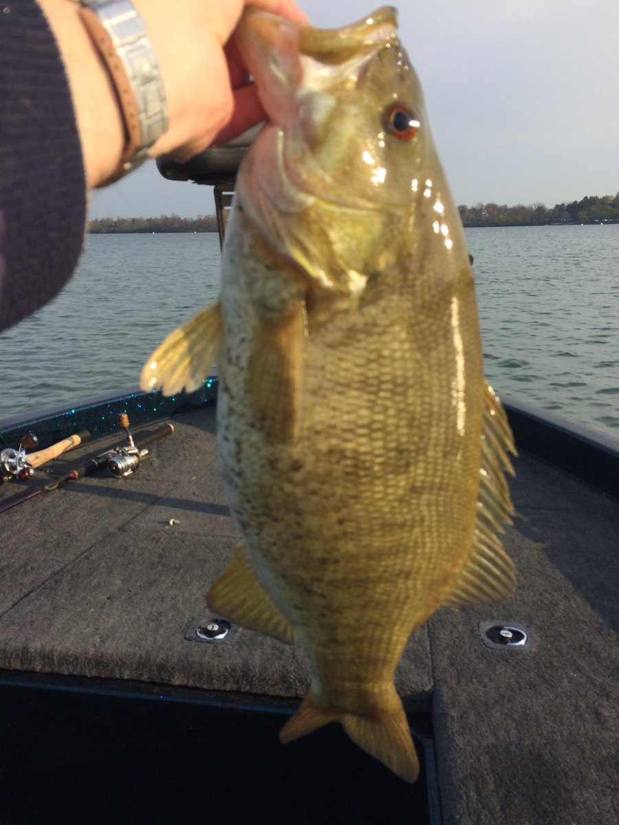 hintzville's tweet image. #springpeepers started in my back yard last week... Signs that the bite is on!!! #SmalliesOnOL