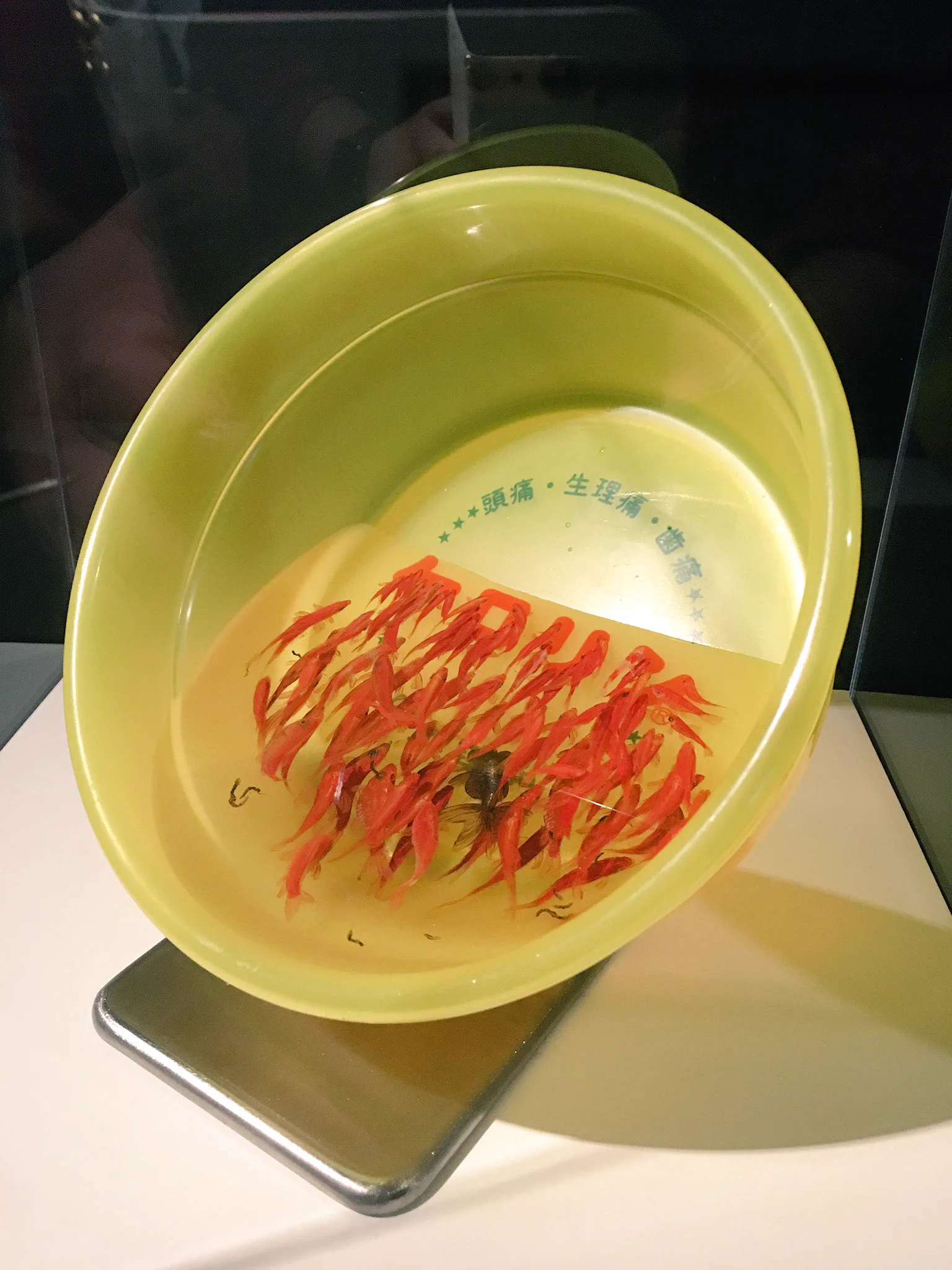 金魚養画場の作品が職人技がかかってて美しすぎるｗｗｗ