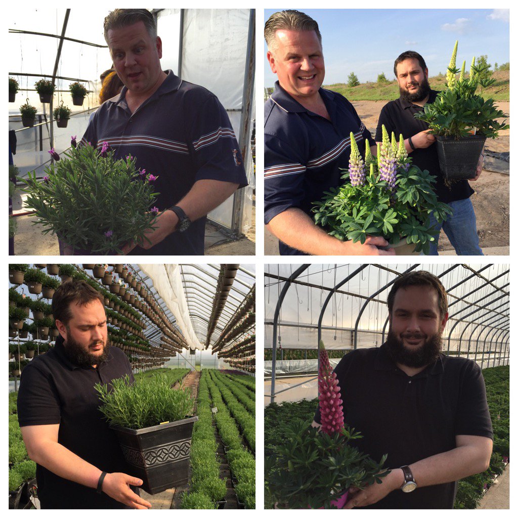 Beautiful lavender and lupine from Garden State Growers. Wow!!!