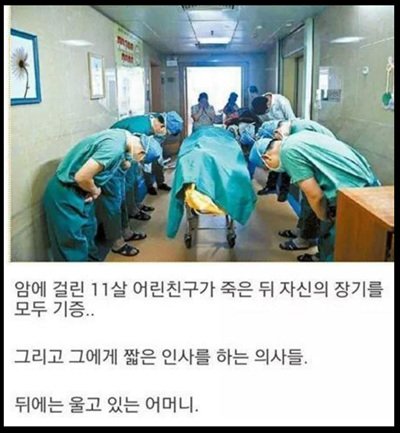 숙연해지는 한 장의 사진.