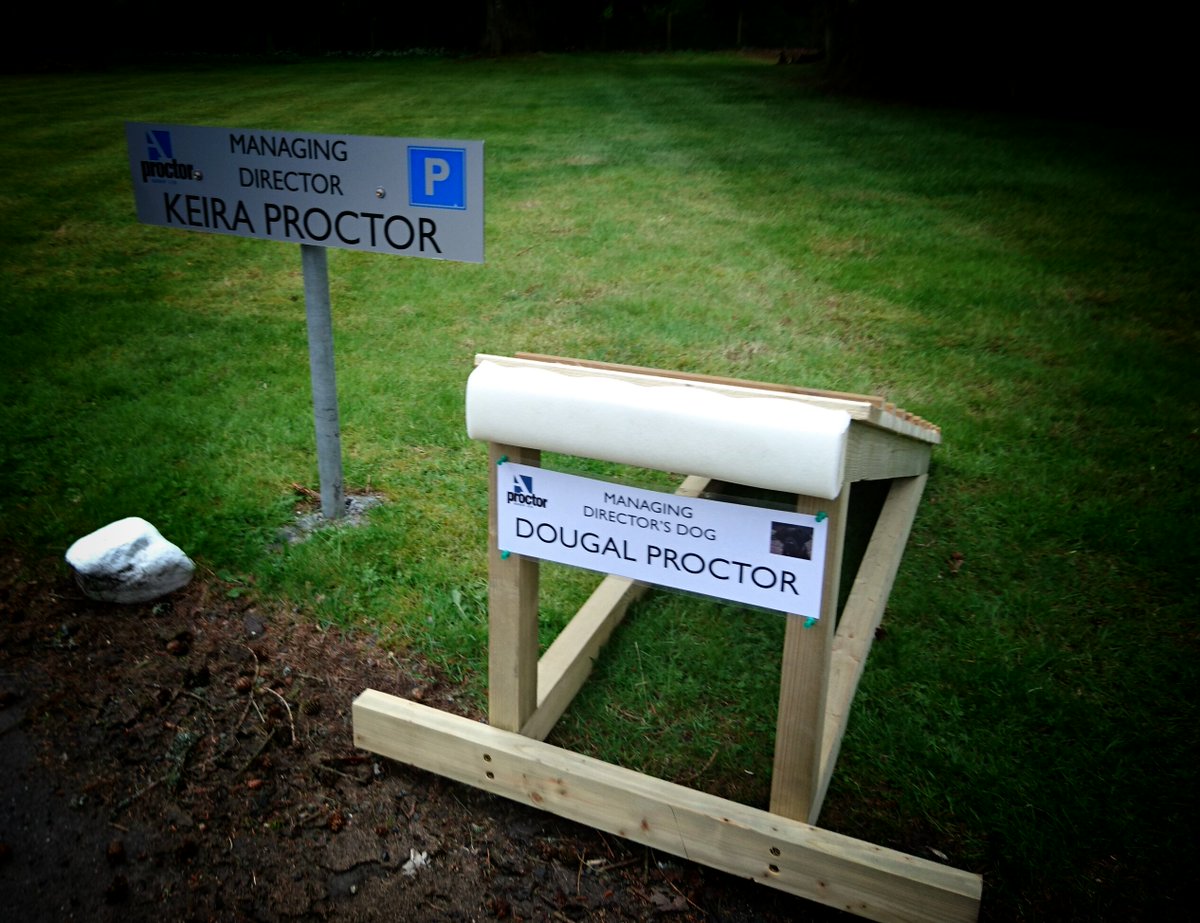 proctorgroup's tweet photo. We surprised @keira888 today with a sign for #Dougals new car ramp !
#TheRealBossIsTheDog #LoveDogs https://t.co/7G6l2XhImS