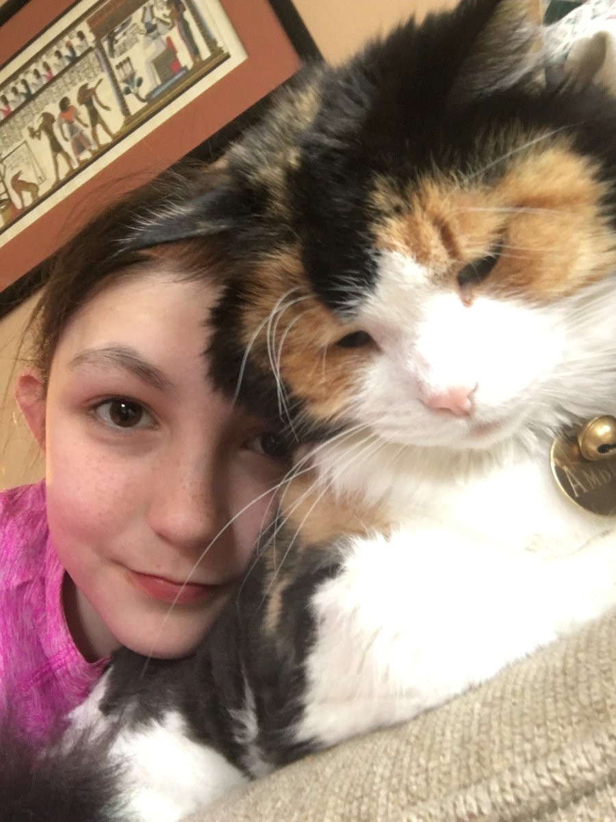 ColleensCorner4's tweet photo. Sending my love to @ColleenB123 and her shoulder❤️ From my cats and me❤️Lysm https://t.co/R5mf5UxlgQ