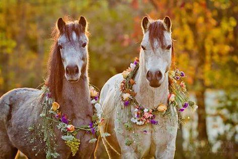 ridk12's tweet image. وليس كل مختلف غريب ،، ف ربما بداخله جمال المجرات