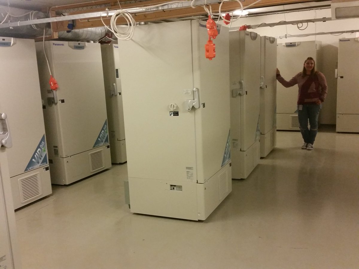 Biobank1 tweet media
