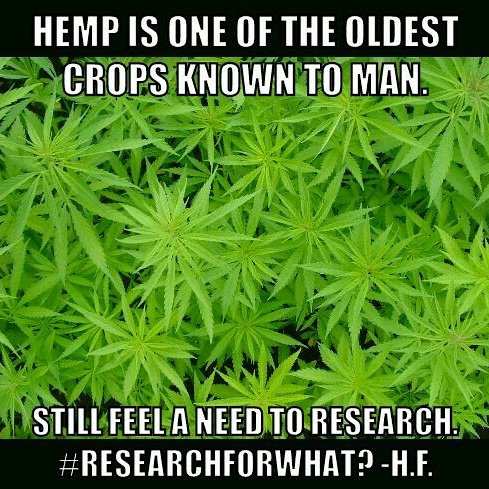 Hemp_Farmers's tweet photo. #hemp #Researchforwhat? https://t.co/oq0SJyhAzs