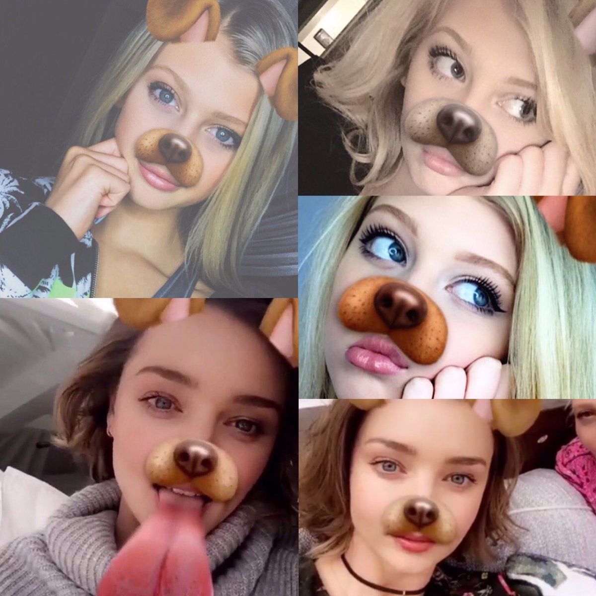 外人のSnapchatの犬のやつレベルがちがう😳 美しすぎる😳