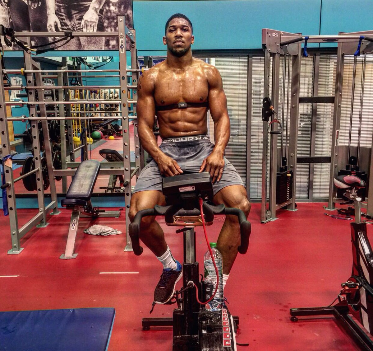 anthonyjoshua's tweet photo. A Lion Never Roars After A Kill #StayHungry https://t.co/4keNJ7W0EQ