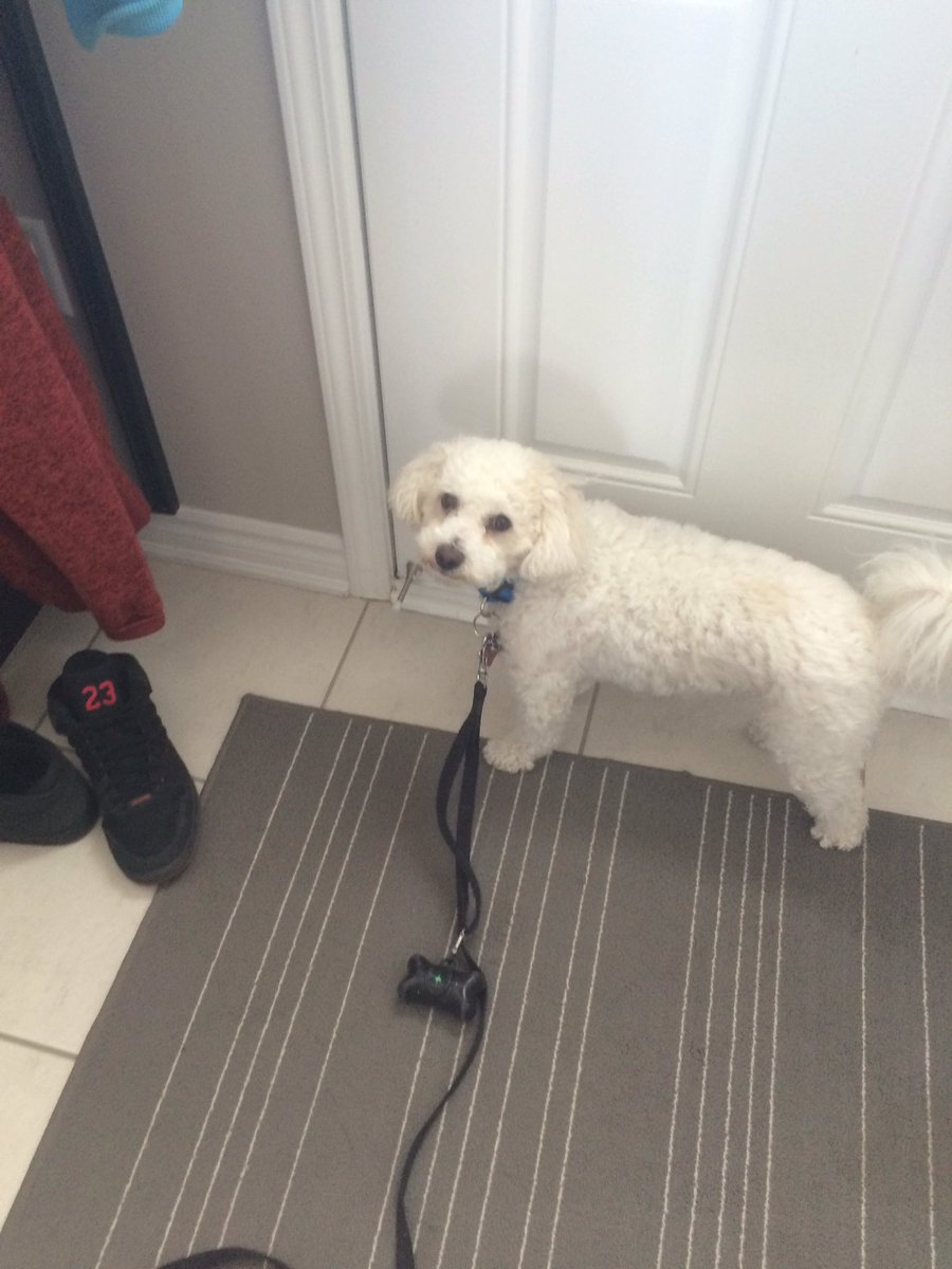 Mstyfs's tweet image. THIS FAGGOT IS SHIT! I HOPE HE DIES!