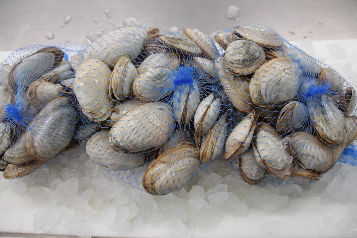 MRSeafoods's tweet photo. That time of the year again! Fresh PEI Soft Shell Clams! A perfect treat this time of the year. #softshellclams #pei https://t.co/dMVtcoIH01