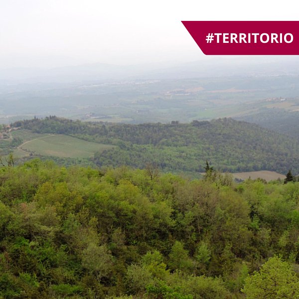 chianticlassico's tweet photo. Sapevate che… due terzi dell’intero territorio del #ChiantiClassico sono occupati da boschi? #Giro #CCstage https://t.co/M5sgC06BUP