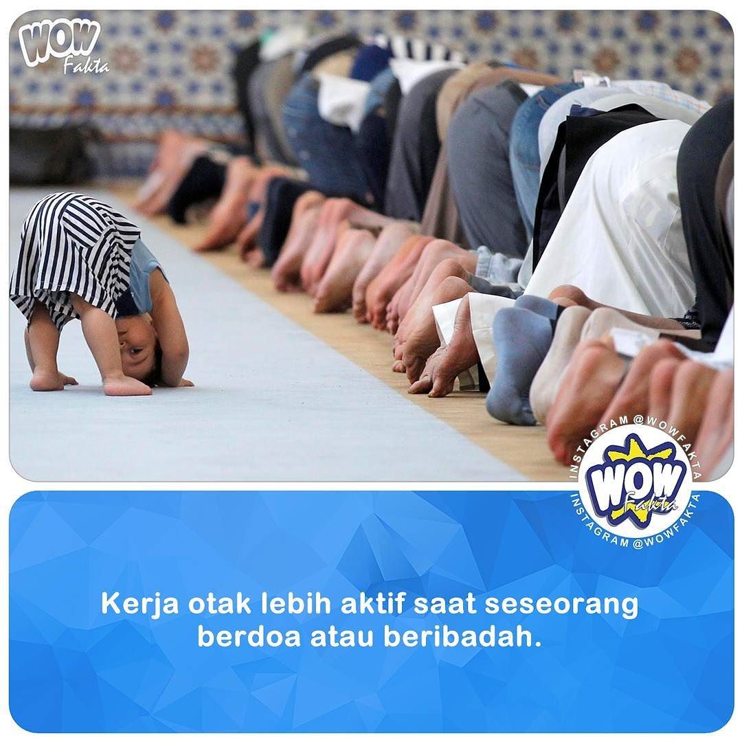 ift.tt/24W0lrt [#wowfakta] Faktagram hari ini #fakta #faktanya #mostpopular