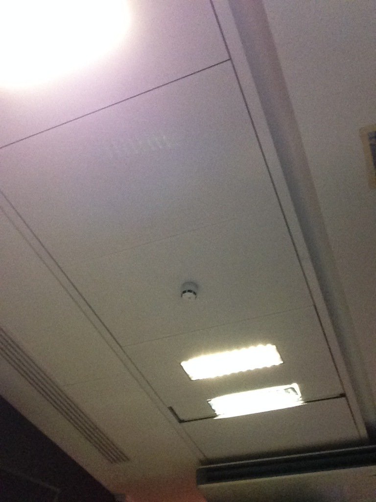 TeamCCAV's tweet image. #ccavtest