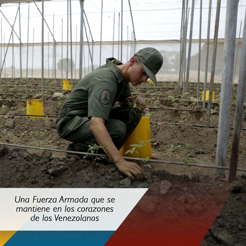 Incesocialista's tweet photo. La #FANBPatriota vive y vivirá en todos los venezolanos, revolucionarios y patriotas. https://t.co/JctfHehXZz