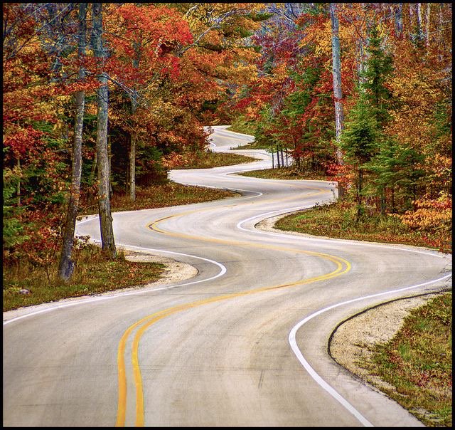 It may look like curves ahead, but that's what makes it fun! <a href="/BudScoutsRec/">BudScoutsRecruiting</a> #mmjrecruitment
