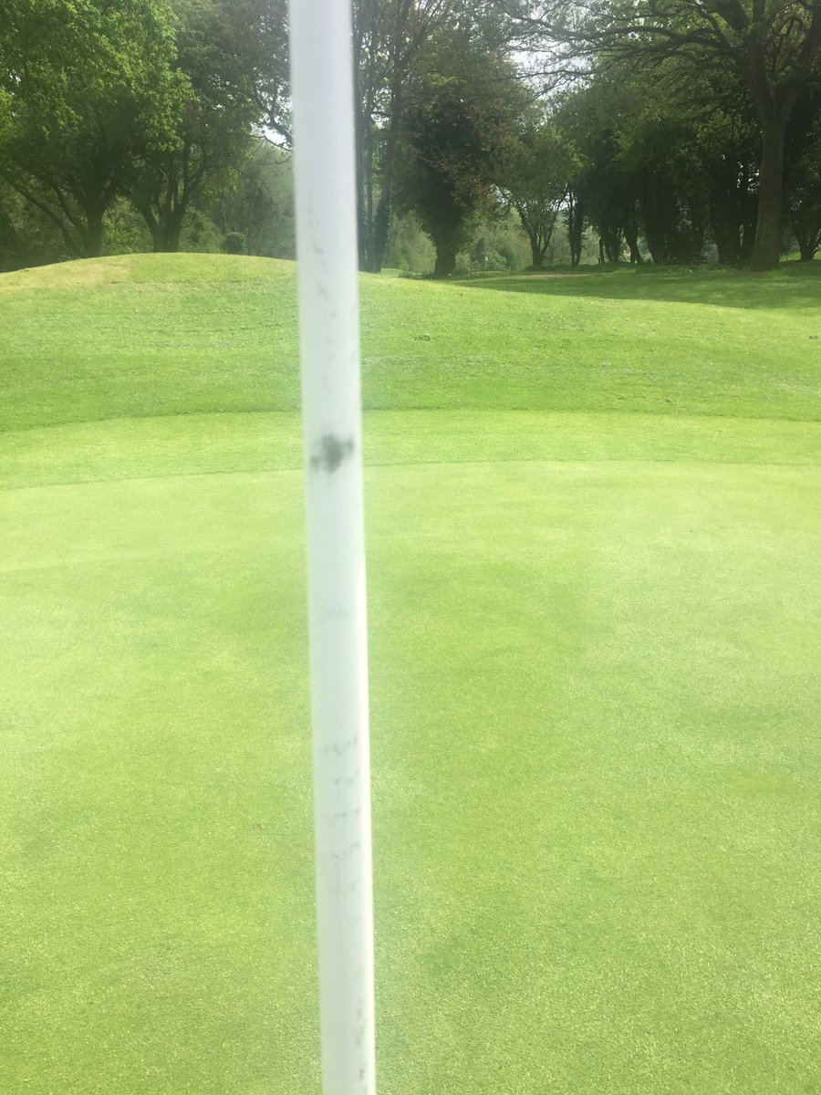 TeamScourfield's tweet photo. Pitch Mark on the flagstick at number 15 today.... https://t.co/Q2mhNfivr7