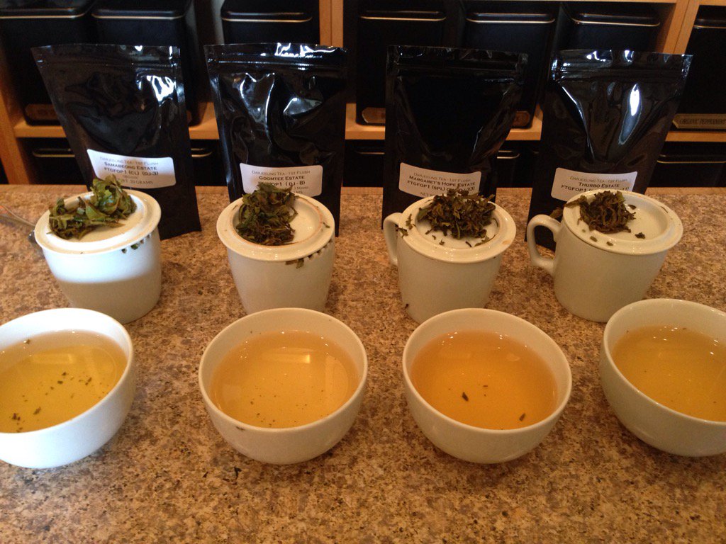 Cupping four fresh spring #Darjeeling #black #teas #bliss #health #stoned #delighted #Stratford