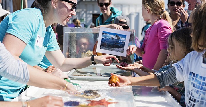 CPPrezArmstrong's tweet image. Bring the kids and learn about marine life tomorrow at the Cal Poly Pier Open House 9-12pm buff.ly/1NrPq0K