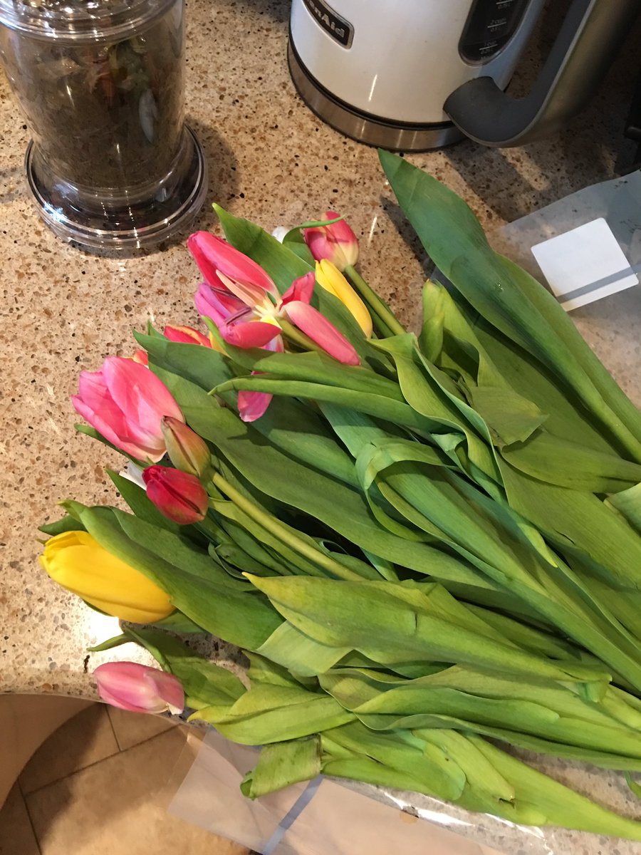 OlgaIAbrosimova's tweet image. #NotRoses and they are already falling apart #HugeFail #SoEmbarrasing