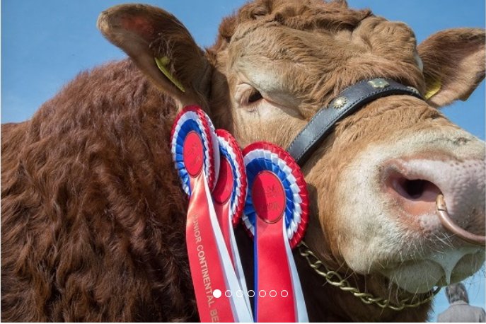 Only 19 days until @BathandWest #SheptonMallet @SomersetLife @Whatsonsomerset #Somerset ow.ly/5tLc300awYH
