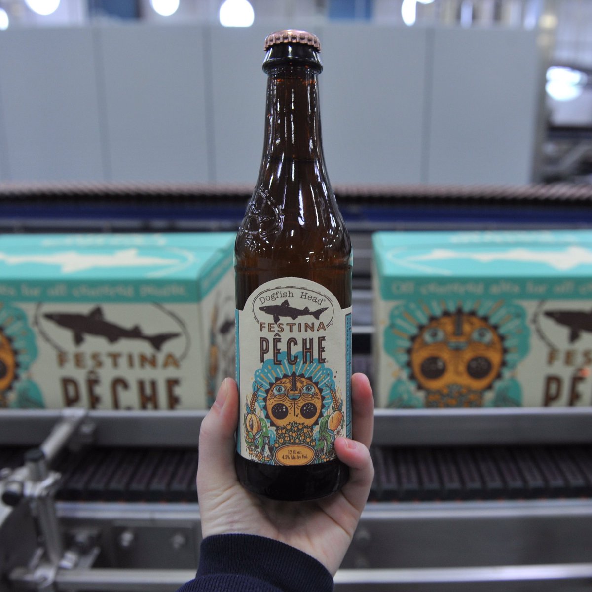 dogfishbeer's tweet photo. It's officially summer when Festina Pêche comes rolling off the bottling line! Starts shipping on 5/16! 🍑 #craftbeer https://t.co/1H8kjkZVA7