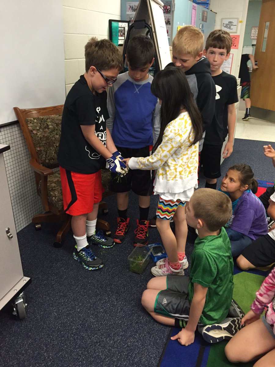 Kicking off animal research by learning about toads!