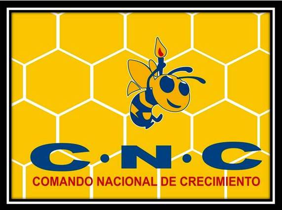 VOTA BLANCO en la CASILLA 1, POR DANILO MEDINA