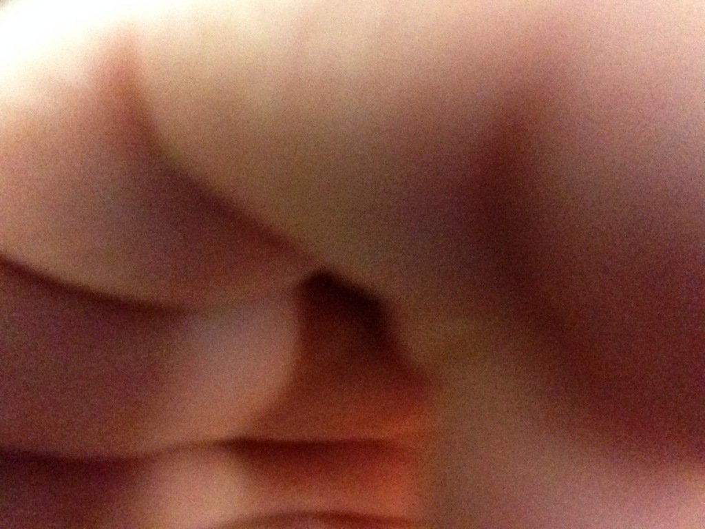 TeamCCAV's tweet image. #ccavtest