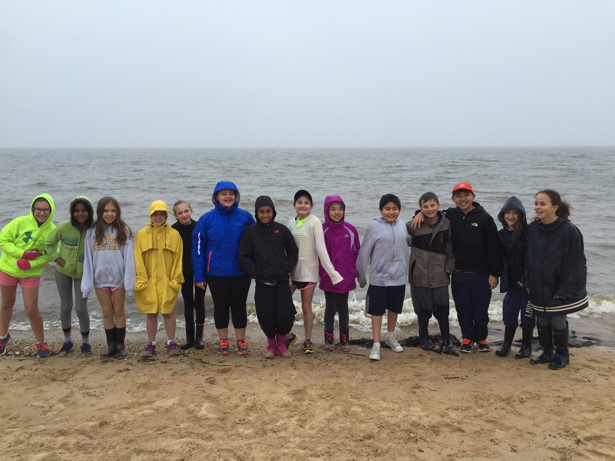 Jamie Nicholson tweet media