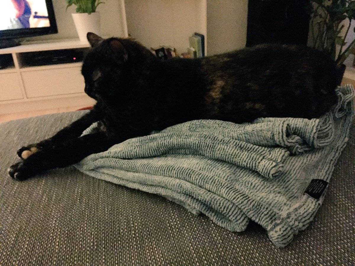 Wie meinst du das, die Decke sei nicht für mich gedacht?! Doch ist sie. Siehst du doch.