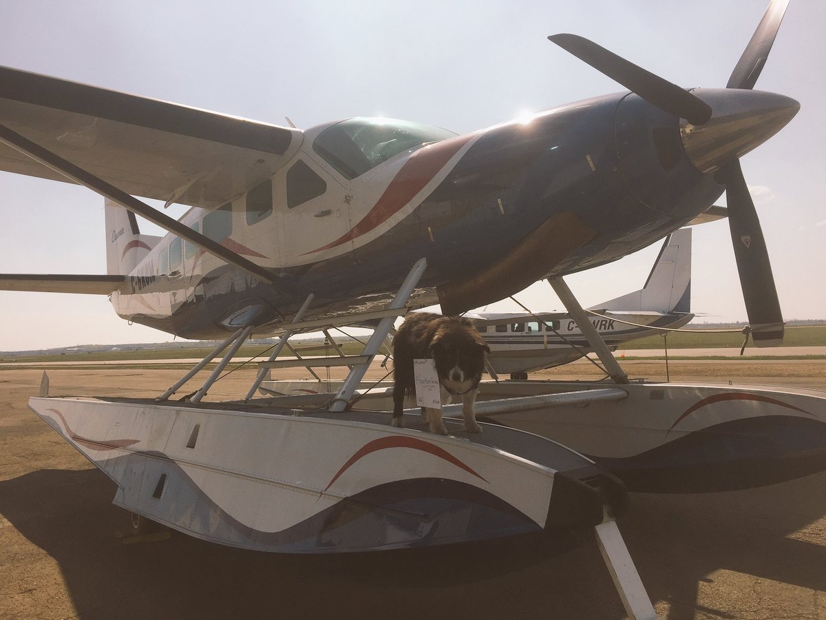 McAviation's tweet photo. @JustinTrudeau welcome to #ymm Drop by our hangar we'd love to meet you! Especially Piper! #pipermeetstrudeau #ymma https://t.co/red1Ci1a4e
