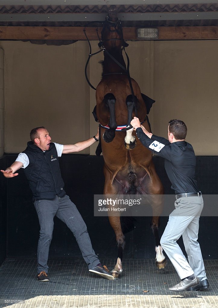 Cunco 1st offspring of  Frankel to appear on a course with <a href="/BarrySavage86/">Barry Savage</a>
Pic 2 Get off my phucking toes you cunc