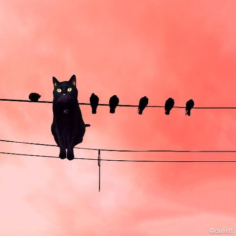 Spend #Fridaythe13th with one spooky black cat blog.instagram.com/post/144299667…