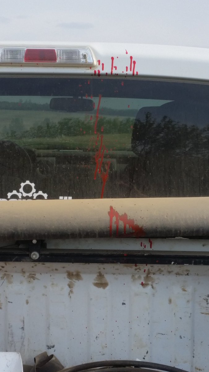 jasontkachuk's tweet image. #grainfarmproblems
#plant16