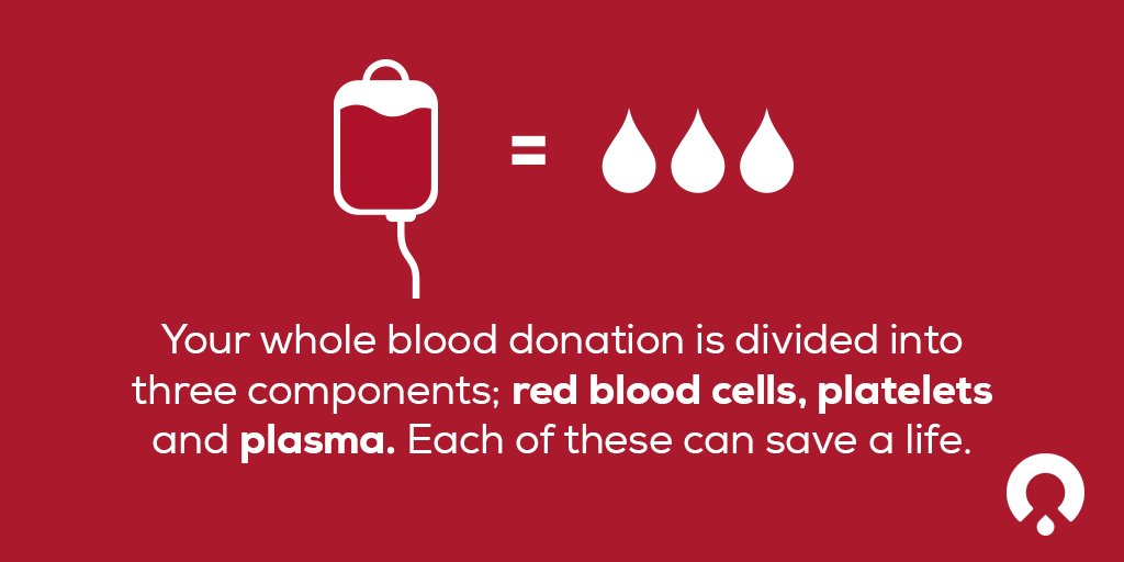 Oneblood On Twitter Blood Has 4 Main Components Plasma Red