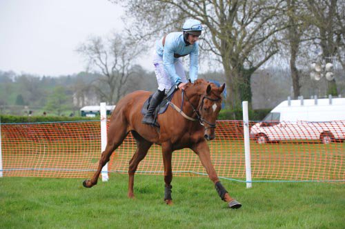 Impressive 15l PTP winner Ravenhill Road heads to <a href="/GoffsUK/">Goffs UK</a> next week. 
goffsuk.com/sales-results/…
#beauty #therealdeal
