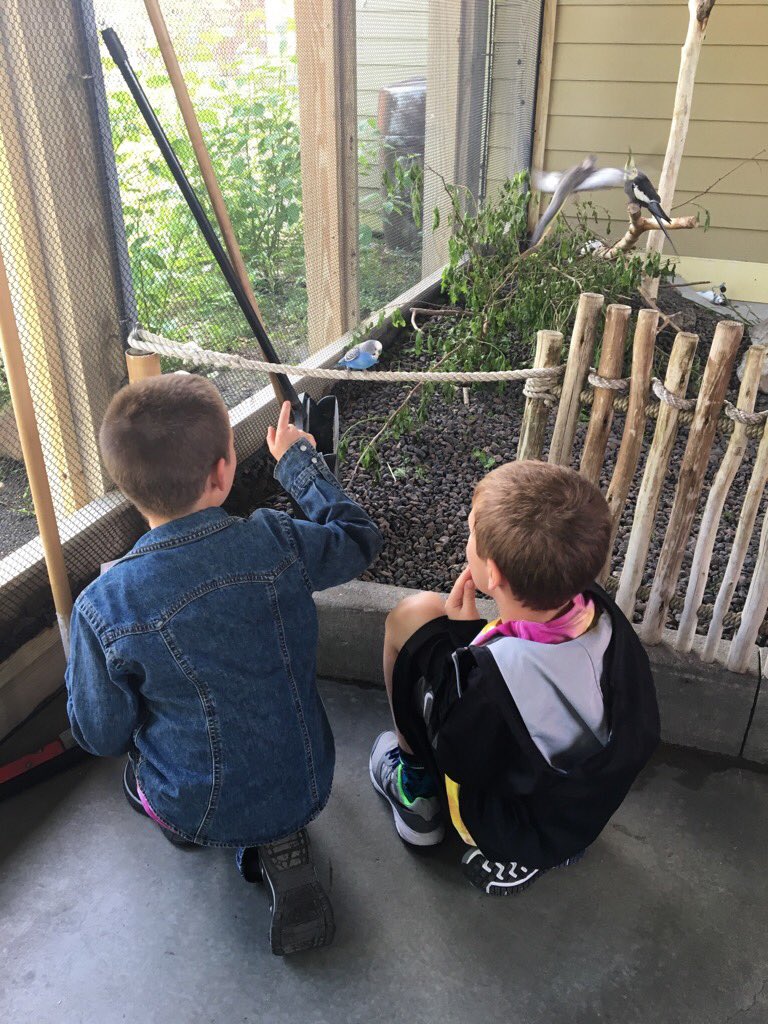 MGonczarow's tweet photo. Great day at the Zoo!!! Tweet tweet !! @MGonczarow @NMPrincipal @DanielleCoudret https://t.co/EhTMwx4haZ