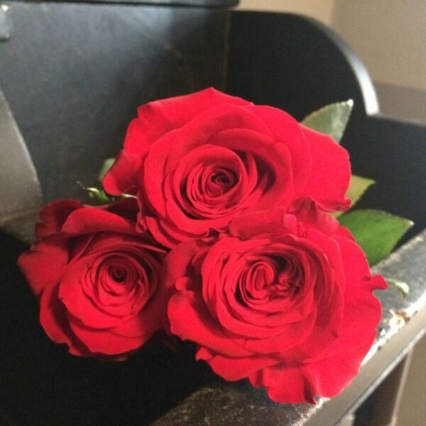 Classic red roses are perfectly romantic #FlowerFriday 🌹