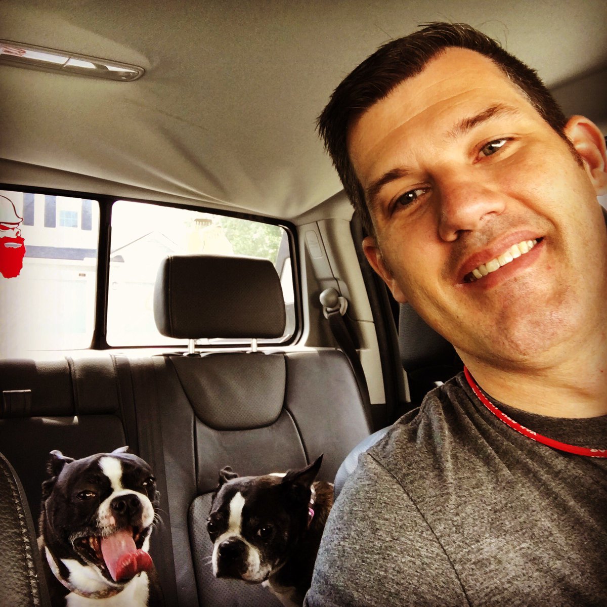 davidhanscom's tweet photo. Taking my bitches to get their nails did ๐๐ #highclassdogs #waitdidicallthembitches https://t.co/ppqdzYHir4
