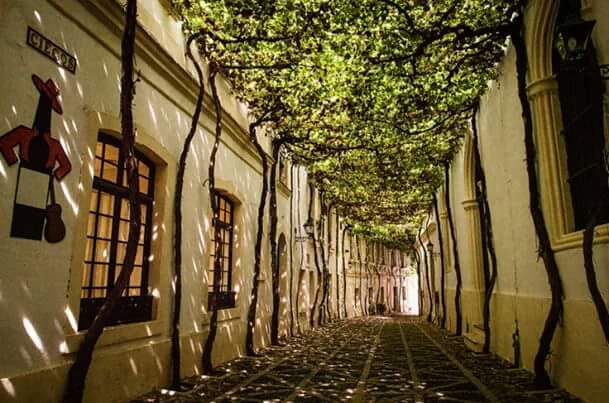 Antonio Morillo ن tweet media