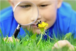 Welk beestje is dat mam? Heb jij je IVN zoekkaart al? Vraag hem vlug op! ow.ly/2EVx300aZR2 Dan weet jij t ook.
