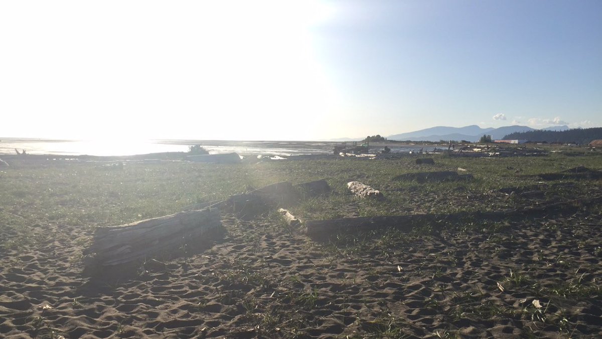 ScoutingBc's tweet photo. 📍Iona beach 🌊💦 https://t.co/JQuKaSf7dp