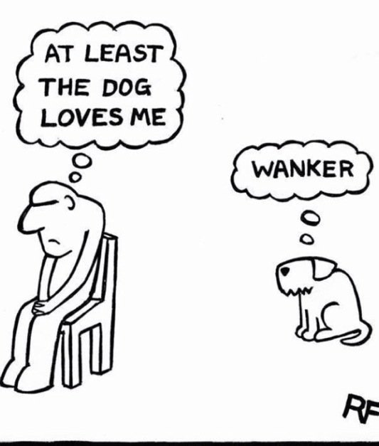 Friday Night Cartoon of The Day...