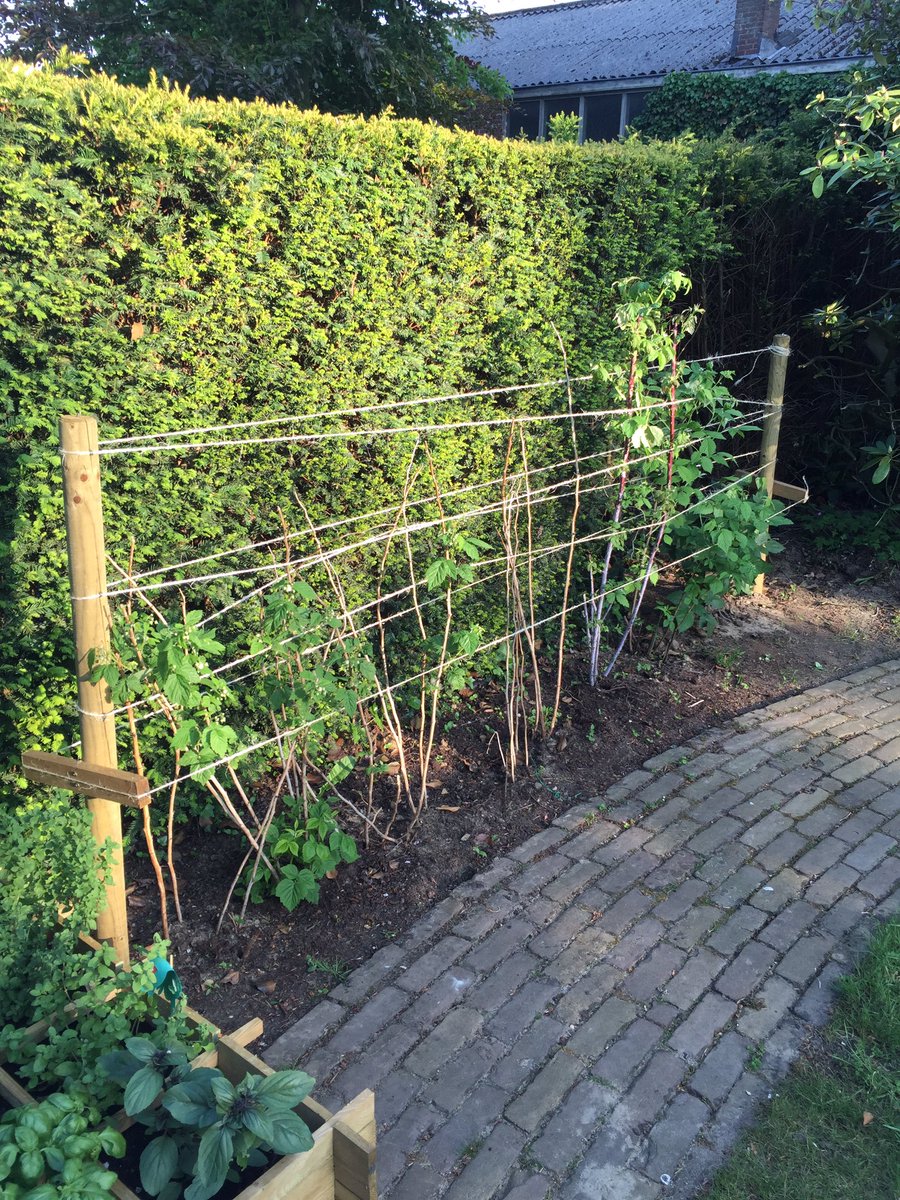 Het groeit als hop, maar wie eet het allemaal op! 😳 #moestuin #biologisch