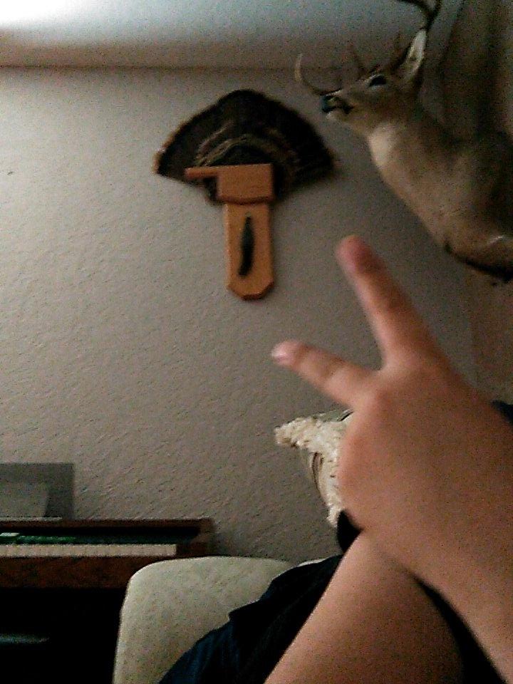 Kalebpay's tweet image. Kalebpayne