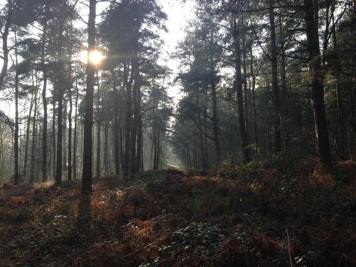 North Norfolk Living tweet media