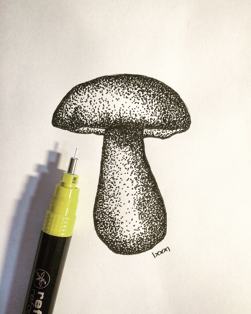 ingowalde's tweet photo. My new tools are running. #dothatching #mushroom #blackink #technicalpens #reformrefograph #drawing #art #ink https://t.co/v0KDtAHNz7
