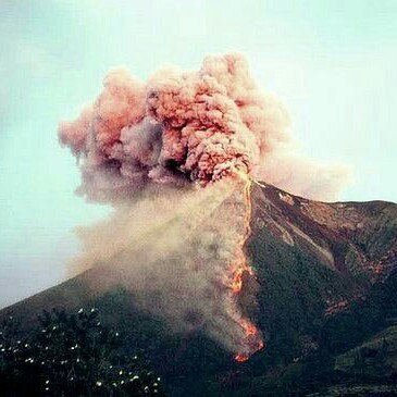 Design_98's tweet image. 