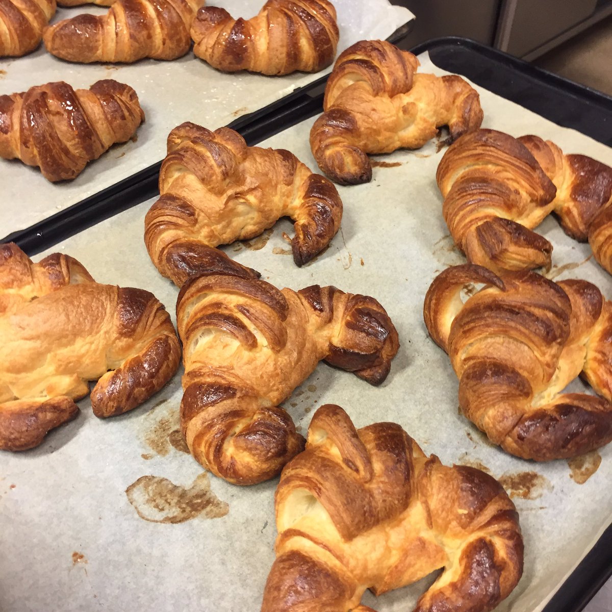 Michael gillies (gillies_m) Twitter